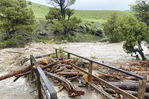 Yellowstone official: Almost all visitors have left park - Vimarsana News