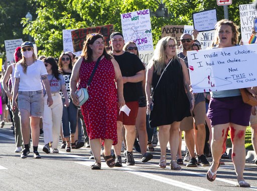 Justice Department asks judge to pause Idaho abortion ban - Vimarsana News