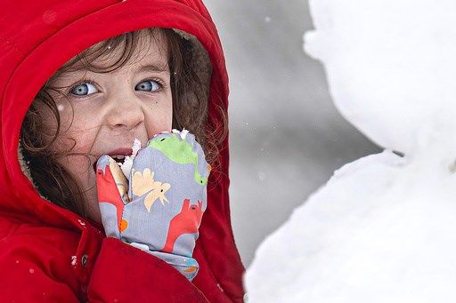 Millions are stuck at home due to blizzard warnings and travel shutdowns in northeastern US